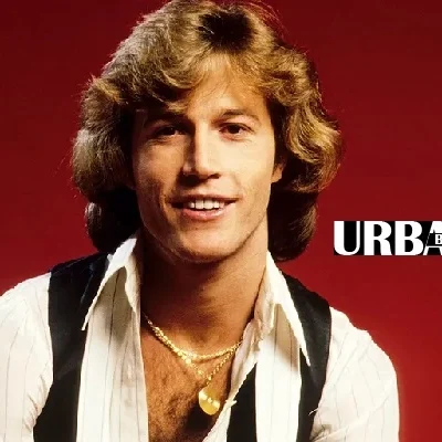 A nostalgic look at Andy Gibb, a pop star whose net worth reflected his talent and influence in the music industry.